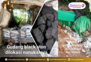 Aktivis Rolan T Mokoagow Segera Laporkan Tambang Ilegal Batu Hitam Bolsel ke Mabes Polri