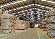 Harga Pakan Turun, Kementan Pastikan Biaya Produksi Peternak Makin Efisien