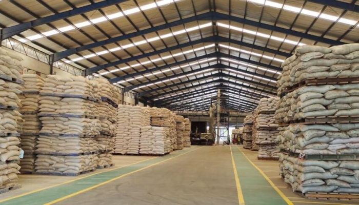 Harga Pakan Turun, Kementan Pastikan Biaya Produksi Peternak Makin Efisien