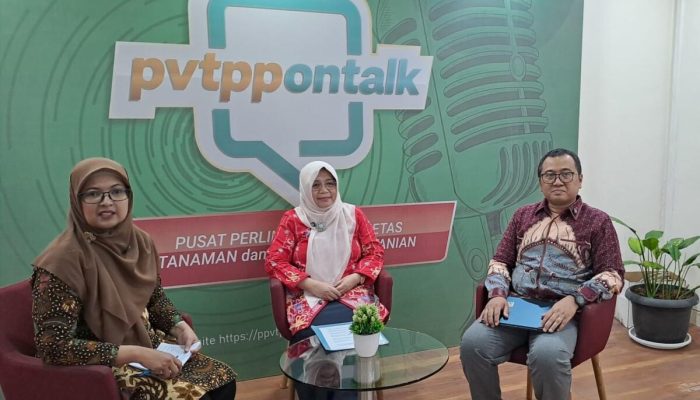 Kementan-Kemendiktisaintek Dorong Inovasi Baru Dosen Dapatkan Hak PVT