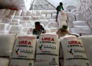 Pupuk Indonesia Amankan Pasokan di Tengah Konflik Timur Tengah Lewat Diversifikasi Bahan Baku