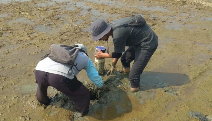 Hemat Air hingga 20%, Kementan Dorong Pengelolaan Air Sawah Hadapi Kemarau