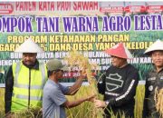 Panen Raya Padi Meluas, Kementan Pastikan Stok Pangan Aman