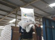 Antisipasi Krisis Global, Pemerintah Siapkan Diversifikasi Impor Bahan Baku Pupuk
