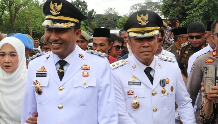 Luwu Utara “On Fire”: Catat Pertumbuhan Investasi 11,51%, Ekonomi Ikut Terdongkrak
