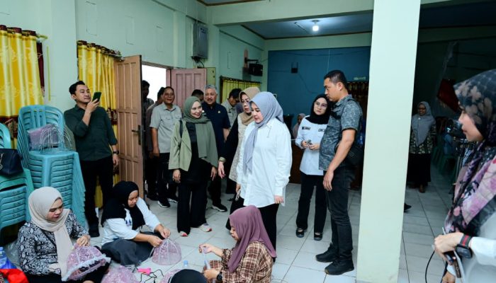 Wagub Sulsel Tingkatkan Kapasitas Perempuan dan Pengelolaan Lingkungan di Pinrang