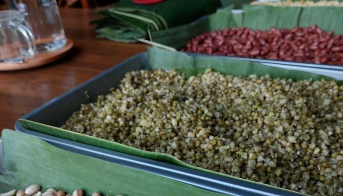 Kacang Kedelai, Kaya Serat Baik untuk Jantung dan Mengontrol Gula Darah