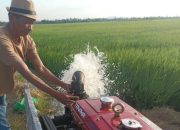 Berbekal Pengalaman 2023, Kementan Klaim Siap Tekan Dampak El Nino April Mendatang