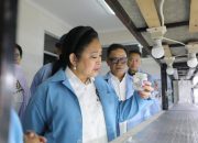 Kementan Perkuat Perbenihan Bawang Putih, DPR RI Dukung Peningkatan Produksi Dalam Negeri