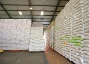 Indonesia Ekspor Beras ke Arab Saudi dan Salurkan Bantuan ke Palestina, Bukti Produksi Kuat dan Stok Nasional Aman