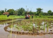 Kementan Uji B50 untuk Alsintan, Bioreaktor Biodiesel Disiapkan
