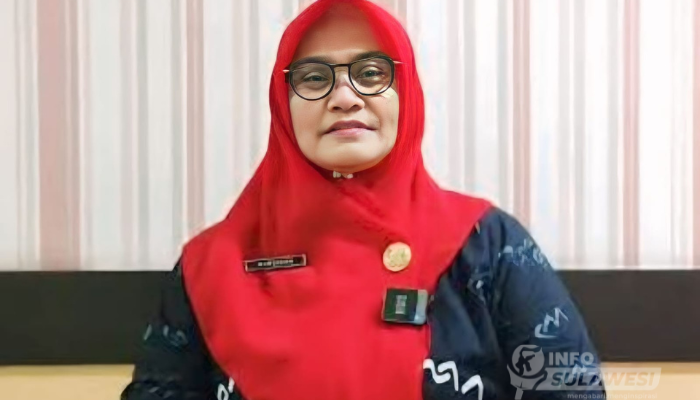 Pemprov Sulsel Respons Dugaan Perkawinan Anak di Luwu, DP3ADaldukKB Lakukan Pendalaman Kasus