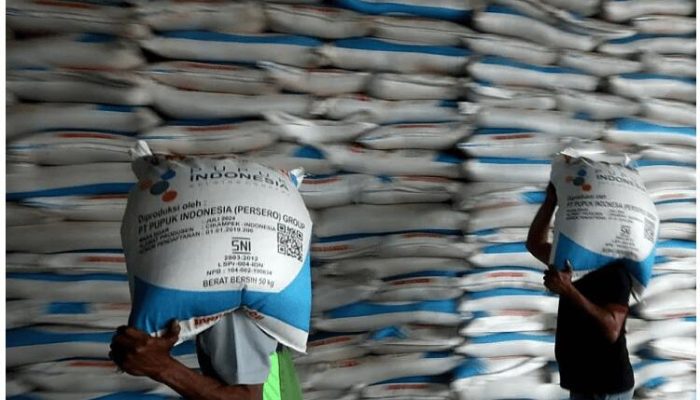 Pupuk Indonesia: Penebusan Pupuk Subsidi Petani Jember Tertinggi dalam 3 Tahun Terakhir